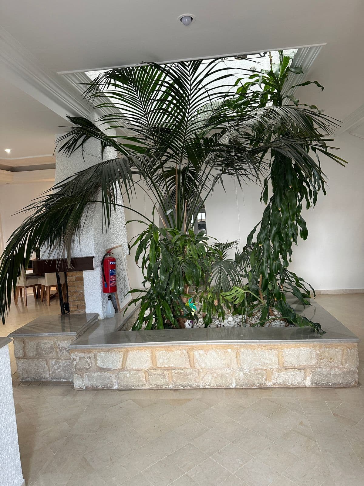 Charmante villa 600m2 avec Grand jardin et piscine - image 67