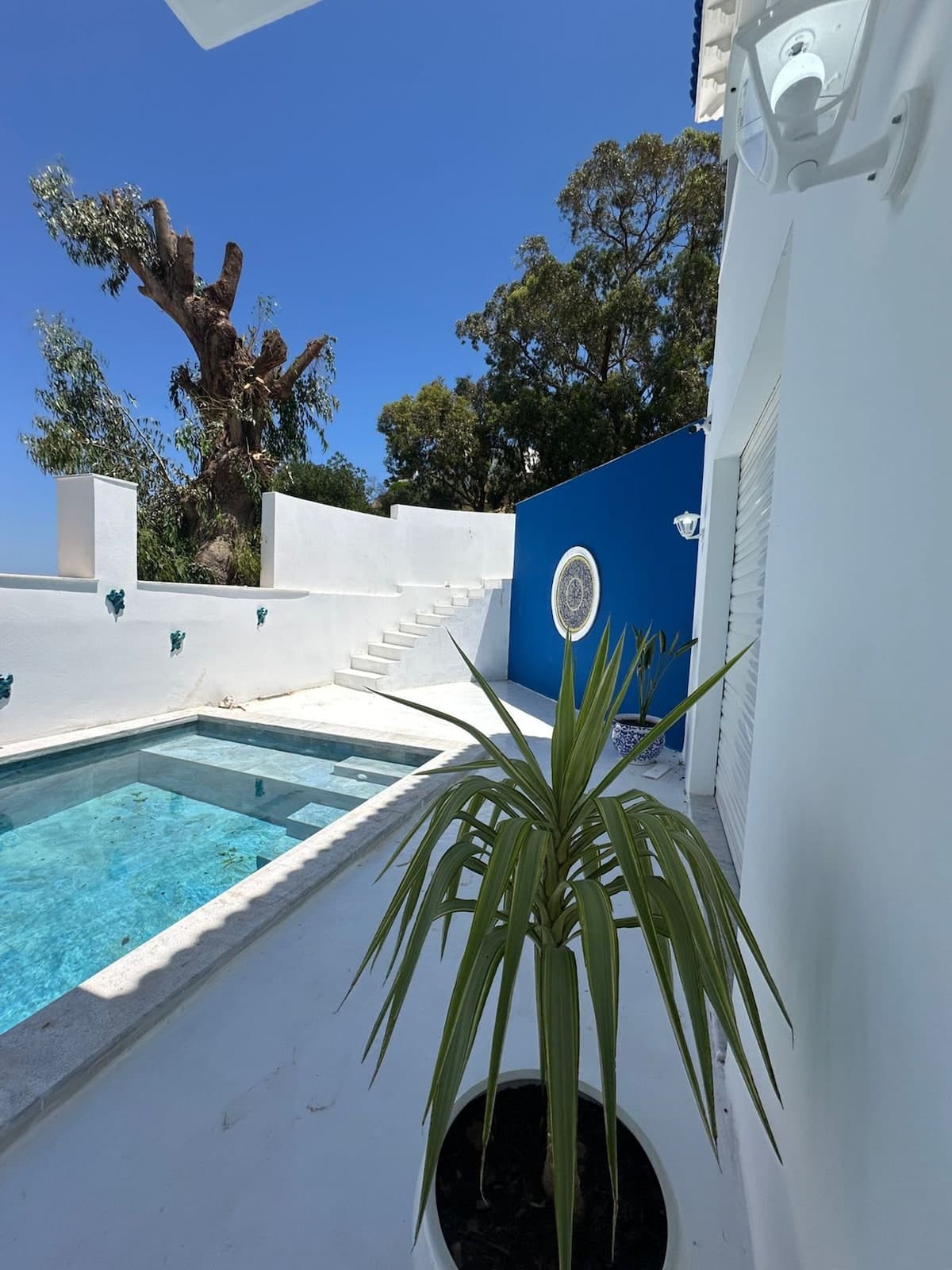 Casa Farniente 🍋 - image 5